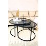 HANAH HOME Sto za dnevnu sobu Tokyo 80 Black Fume - slika 1