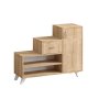 HANAH HOME Ormar za cipele Retro Sapphire (793ELG3908) - slika 3