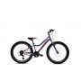 CAPRIOLO MTB Diavolo 400 24'' sivo- ljubičasti (925304-12) - slika 1