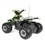 PEG PEREGO Motor na akumulator (12V) - Corall T-REX 330W IGOR0100 - slika 2