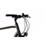 CAPRIOLO Victoria Gents Trek 2.9 braon (922914-SI-56) - slika 4