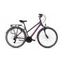 CAPRIOLO Roadster Tour W 28'' sivo-pink (923611-22) - slika 1
