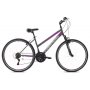 CAPRIOLO Sunrise Trekking L 28'' sivo-pink (920595-21) - slika 1