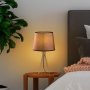 OPVIQ Stona lampa Telıs 5382 - slika 3