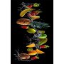 Conceptum Hypnose Tepih (180x280) Hmnt588 - slika 2