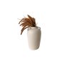 WALLXPERT Vaza Pottle Beige - slika 2