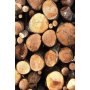Conceptum Hypnose Tepih (140x220) Hmnt550 - slika 2