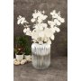 WALLXPERT Vaza staklena Line D20K - slika 2