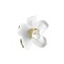 WALLXPERT Decorative Object bela ruža CY0438 - slika 2