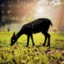 WALLXPERT Decorative Object figura Gazelle 01 - slika 2