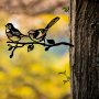 WALLXPERT Decorative Object Bird On The Branch 04 Black - slika 2
