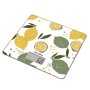 TERRAILLON T1040 fruit citrons vaga - slika 1