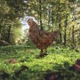 WALLXPERT Decorative Object figura Chicken A 01 - slika 3