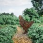 WALLXPERT Decorative Object figura Chicken A 01 - slika 4
