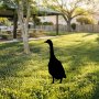 WALLXPERT Decorative Object figura Goose 04 - slika 2