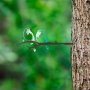 WALLXPERT Decorative Object figura Bird on the branch 26 - slika 3