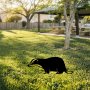 WALLXPERT Decorative Object figura Badger 01 - slika 3