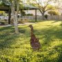 WALLXPERT Decorative Object figura Goose A 04 - slika 3