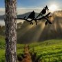 WALLXPERT Decorative Object figura Bird On The Branch 07 Black - slika 4