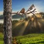 WALLXPERT Decorative Object figura Bird On The Branch 07 Brown - slika 4