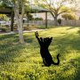 WALLXPERT Decorative Object figura Cat 01 - slika 3