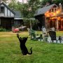 WALLXPERT Decorative Object figura Cat 01 - slika 2