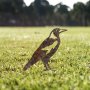 WALLXPERT Decorative Object figura Bird A 02 - slika 3