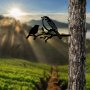 WALLXPERT Decorative Object figura Bird On The Branch 02 Black - slika 4