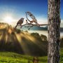 WALLXPERT Decorative Object figura Bird On The Branch 02 Brown - slika 4