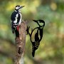 WALLXPERT Decorative Object figura Bird On The Branch 01 Black - slika 3