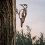 WALLXPERT Decorative Object figura Bird On The Branch 01 Brown - slika 3