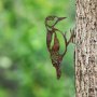 WALLXPERT Decorative Object figura Bird On The Branch 01 Brown - slika 2