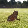 WALLXPERT Decorative Object figura Frog A 01 - slika 2
