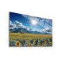 WALLXPERT Dekorativna slika od kaljenog stakla Sunny 43 x 30 - slika 1