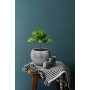 WALLXPERT Decorative Pot Sirius 3 Grey - slika 1