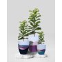 WALLXPERT Decorative Pot Pietra 3 Multicolor - slika 2
