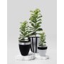 WALLXPERT Decorative Pot Pietra 3 Black Grey - slika 2