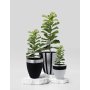 WALLXPERT Decorative Pot Pietra 3 Black Grey - slika 3