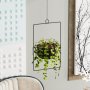 WALLXPERT Decorative Pot crna saksija Parapet Black - slika 3