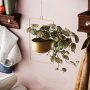 WALLXPERT Decorative Pot metalna zlatna saksija Parapet Gold - slika 2