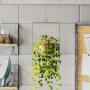 WALLXPERT Decorative Pot metalna zlatna saksija Parapet Gold - slika 3
