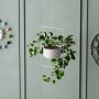 WALLXPERT Decorative Pot bela saksija Parapet White - slika 3