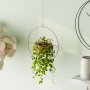 WALLXPERT Decorative Pot bakarna saksija Payanda Copper - slika 3