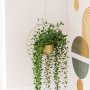 WALLXPERT Decorative Pot zlatna saksija Payanda Gold - slika 4