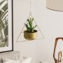 WALLXPERT Decorative Pot zlatna saksija Harpusta Gold - slika 2