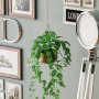 WALLXPERT Decorative Pot zlatna saksija Harpusta Gold - slika 1