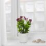 WALLXPERT Decorative Pot bela plastična saksija 241341 - slika 1