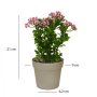 WALLXPERT Decorative Pot Braon Pink Zelena plastična saksija 241342 - slika 3