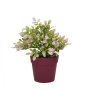 WALLXPERT Decorative Pot Ljubičasta Pink Zelena 241344 - slika 2