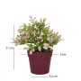 WALLXPERT Decorative Pot Ljubičasta Pink Zelena 241344 - slika 3